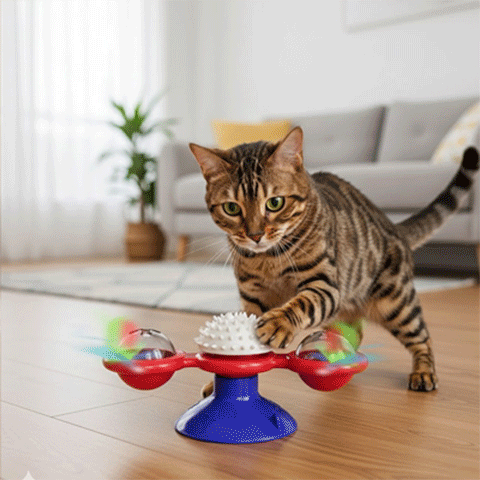 Jeu pour chat - Moulin à vent, plateau rotatif Interactif