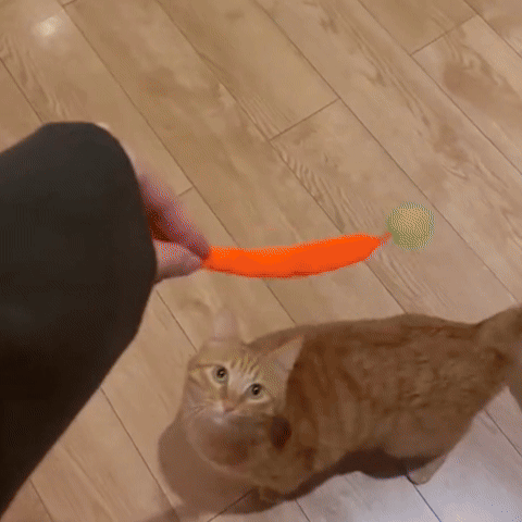 Jouet chat interactif boule c14801a8-2d32-4399-8a57-baf18ab91c1d