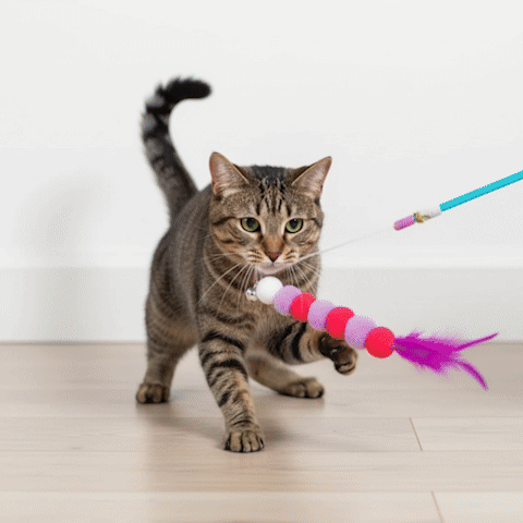 Jouet pour Chat - Canne à pêche avec pompons