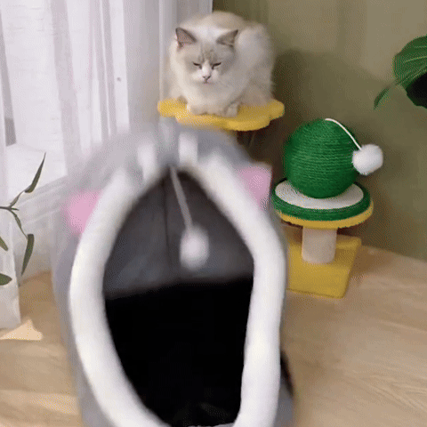 Jeu pour chat - Niche avec boule