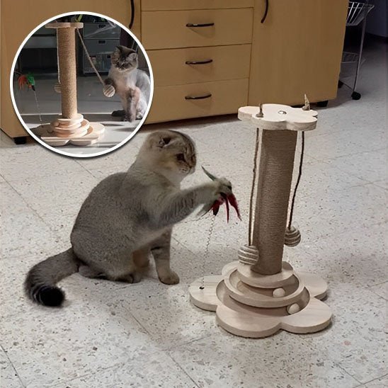 Arbre - griffoir à chat en bois - NaturDesign - Chatyfyclub