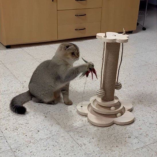 Arbre - griffoir à chat en bois - NaturDesign - Chatyfyclub