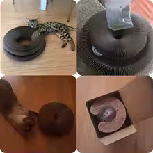 Jeu pour chat - Griffoir spirale