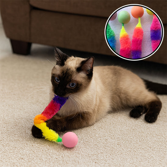 boule chat jouet ver