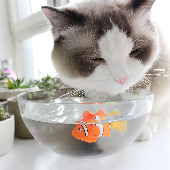 Jouet pour chat - Robot poisson électrique