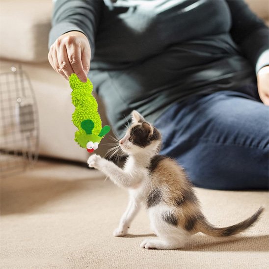 chat-peluche-jouet-vert-chenille