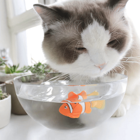 Jouet pour chat - Robot poisson électrique