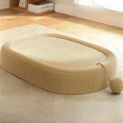 griffoir boule chat balle jouet