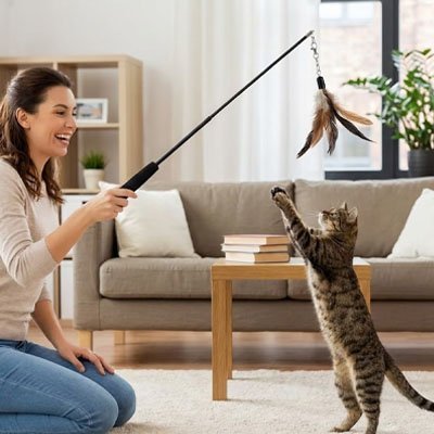 Jeu pour chat - Canne à pêche télescopique avec plumes - Chatyfyclub