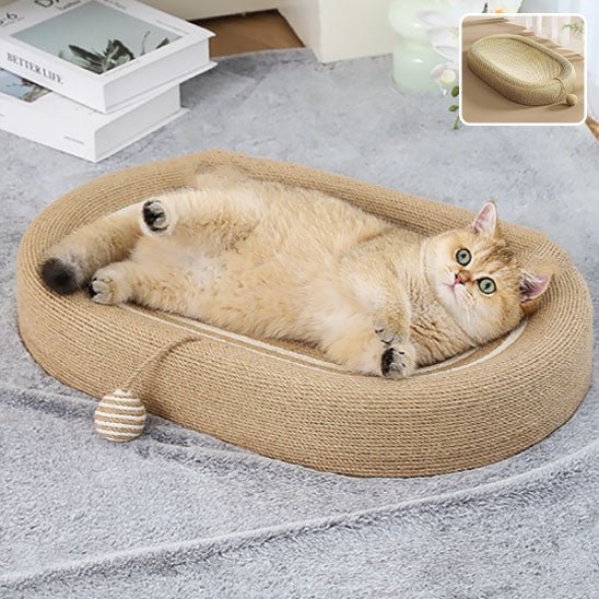 Jeu pour chat - Griffoir avec boule - Chatyfyclub