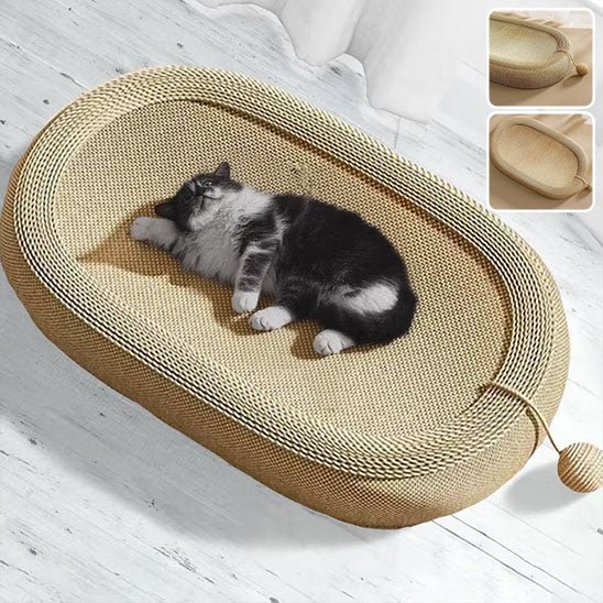 Jeu pour chat - Griffoir avec boule - Chatyfyclub