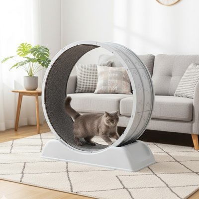 Jeu pour chat Interactif circulaire - Chatyfyclub