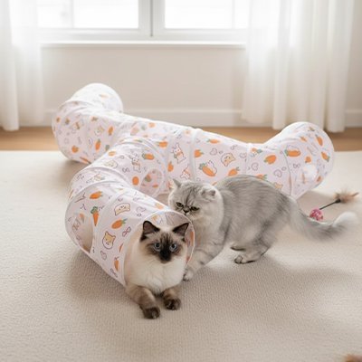 Jeu pour Chat - Tunnel - Chatyfyclub