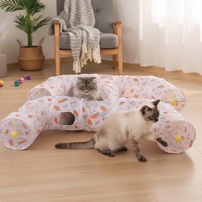Jeu pour Chat - Tunnel - Chatyfyclub
