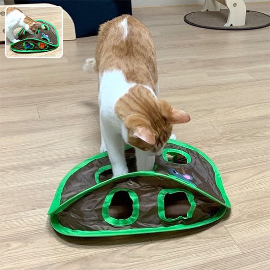 Jeu pour chat Tunnel à 9 trous 