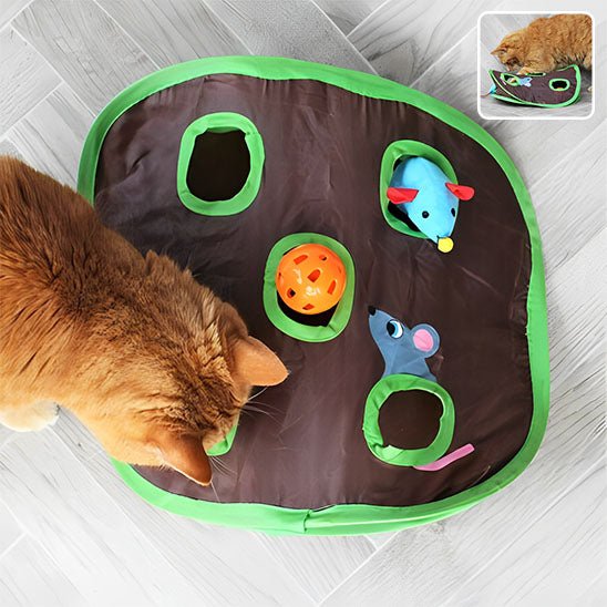 Jeu pour chat  Tunnel à 9 trous   