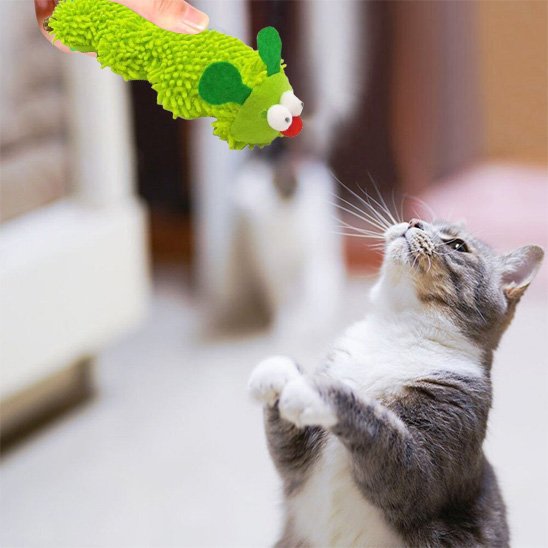 jouet-chat-chenille-vert-peluche
