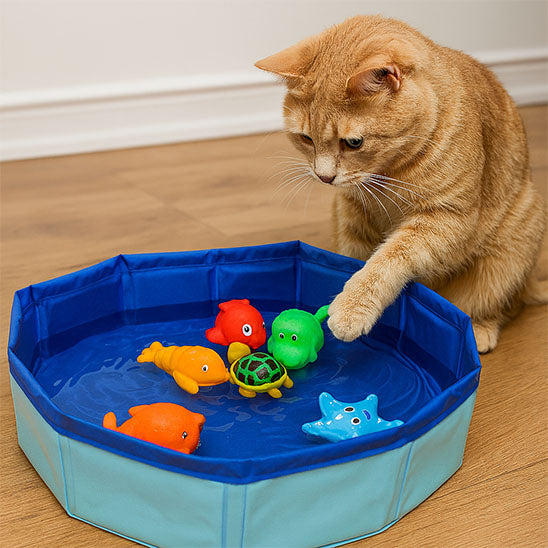 Jeu pour chat - Piscine
