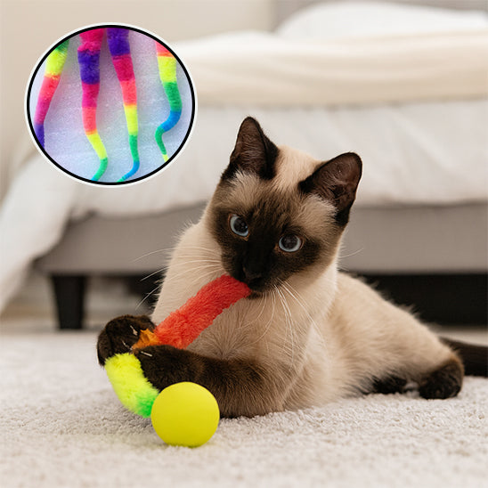 jouet chat ver boule