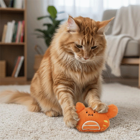 Jouet pour chat - Animaux marins