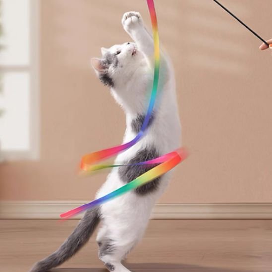 Jouet pour chat - Baguette à ruban multicolore - Chatyfyclub