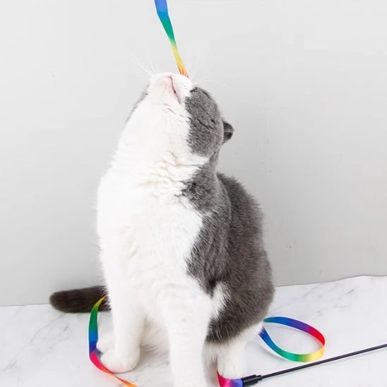 Jouet pour chat - Baguette à ruban multicolore - Chatyfyclub