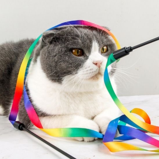 Jouet pour chat - Baguette à ruban multicolore - Chatyfyclub