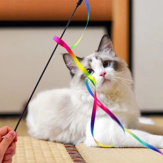 Jouet pour chat - Baguette à ruban multicolore - Chatyfyclub