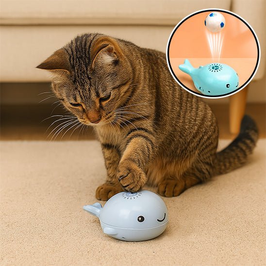 Jouet pour chat - Baleine à jet électrique avec boule - Chatyfyclub
