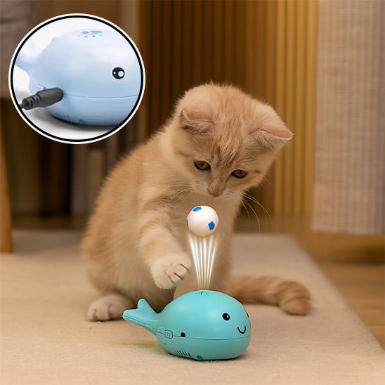 Jouet pour chat - Baleine à jet électrique avec boule - Chatyfyclub