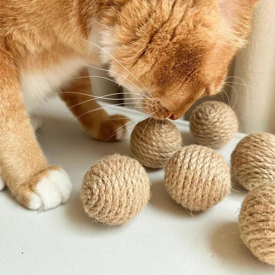 Jouet pour chat - Boule de corde - Chatyfyclub