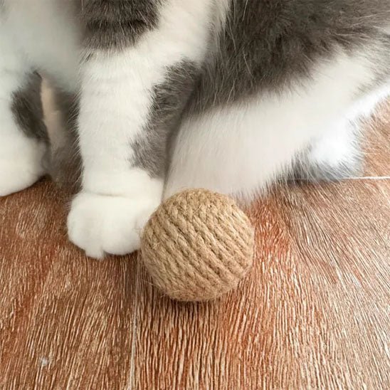 Jouet pour chat - Boule de corde - Chatyfyclub