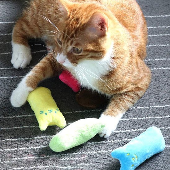 Jouet pour chat - Chat en peluche - Chatyfyclub