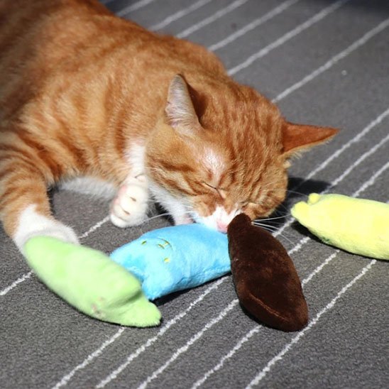 Jouet pour chat - Chat en peluche - Chatyfyclub