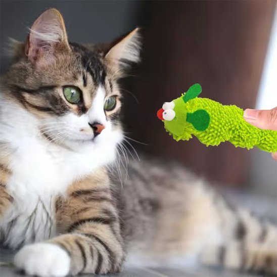 Jouet pour chat - Chenille en peluche verte - Chatyfyclub