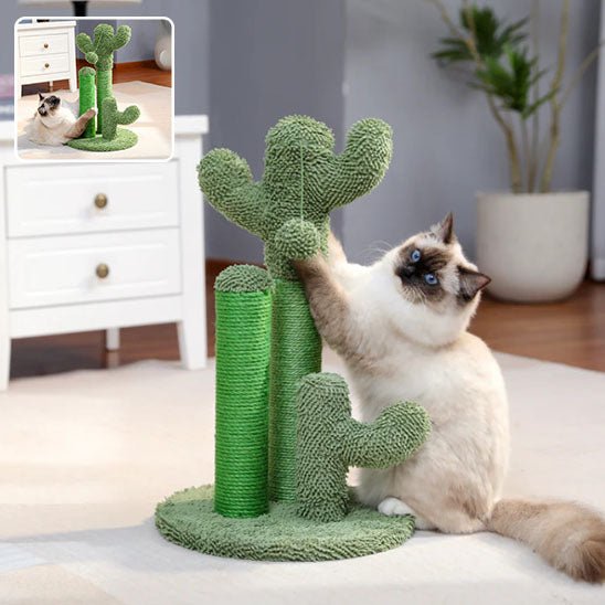 Jouet pour chat - Griffoir cactus et balle - Chatyfyclub