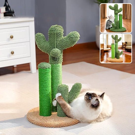 Jouet pour chat - Griffoir cactus et balle - Chatyfyclub