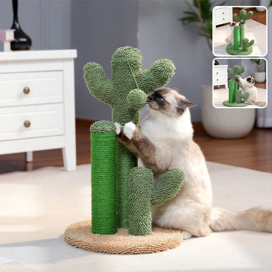Jouet pour chat - Griffoir cactus et balle - Chatyfyclub