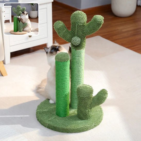 Jouet pour chat - Griffoir cactus et balle - Chatyfyclub