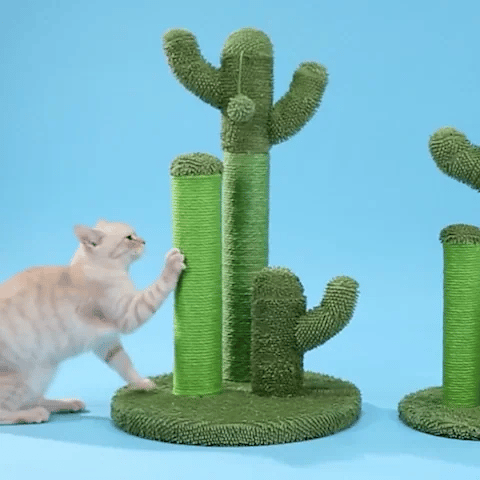 Jouet pour chat - Griffoir cactus et balle - Chatyfyclub