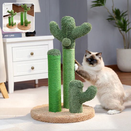 Jouet pour chat - Griffoir cactus et balle - Chatyfyclub
