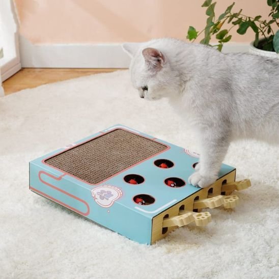 Jouet pour chat - Griffoir multifonction - Chatyfyclub