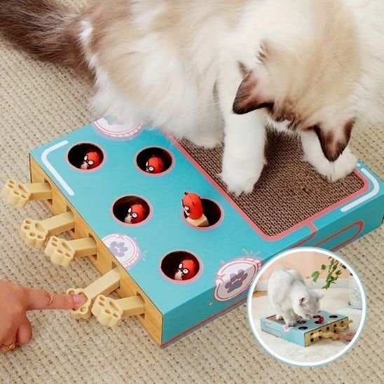 Jouet pour chat - Griffoir multifonction - Chatyfyclub