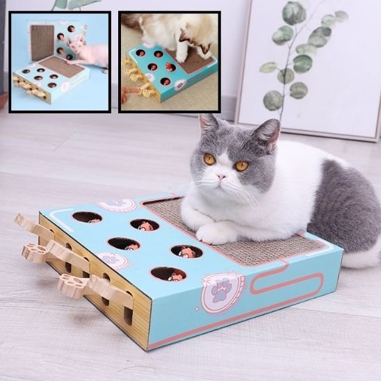 Jouet pour chat - Griffoir multifonction - Chatyfyclub