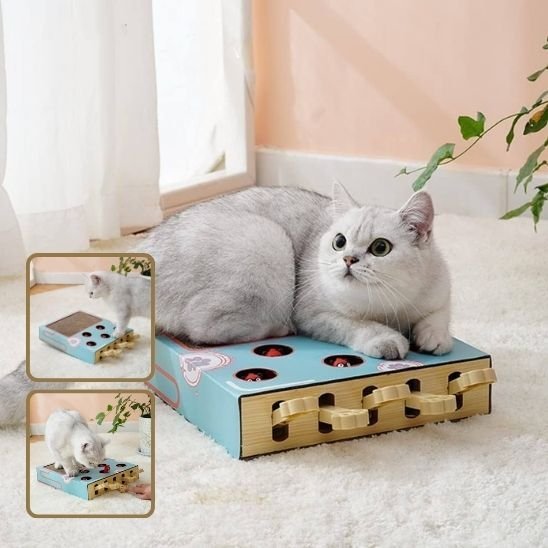 Jouet pour chat - Griffoir multifonction - Chatyfyclub