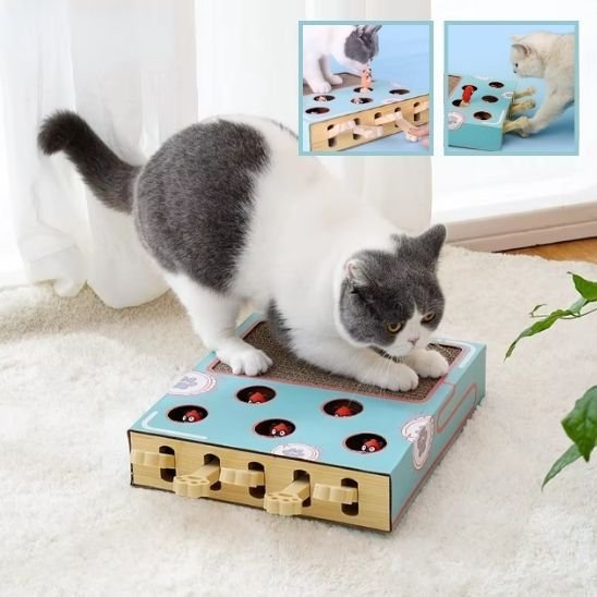 Jouet pour chat - Griffoir multifonction - Chatyfyclub