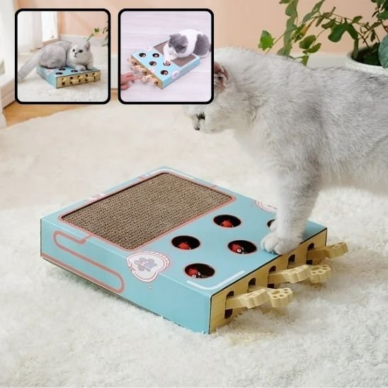 Jouet pour chat - Griffoir multifonction - Chatyfyclub