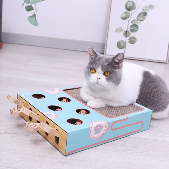 Jouet pour chat - Griffoir multifonction - Chatyfyclub