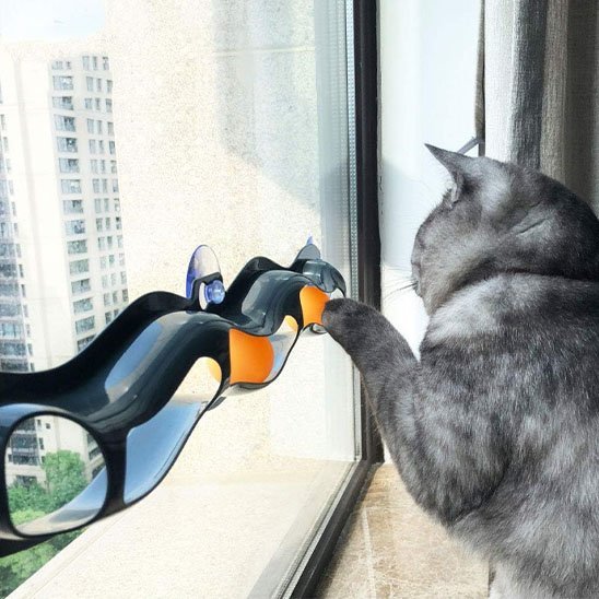 Jouet pour chat interactif à ventouses - Chatyfyclub