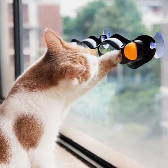 Jouet pour chat interactif à ventouses - Chatyfyclub